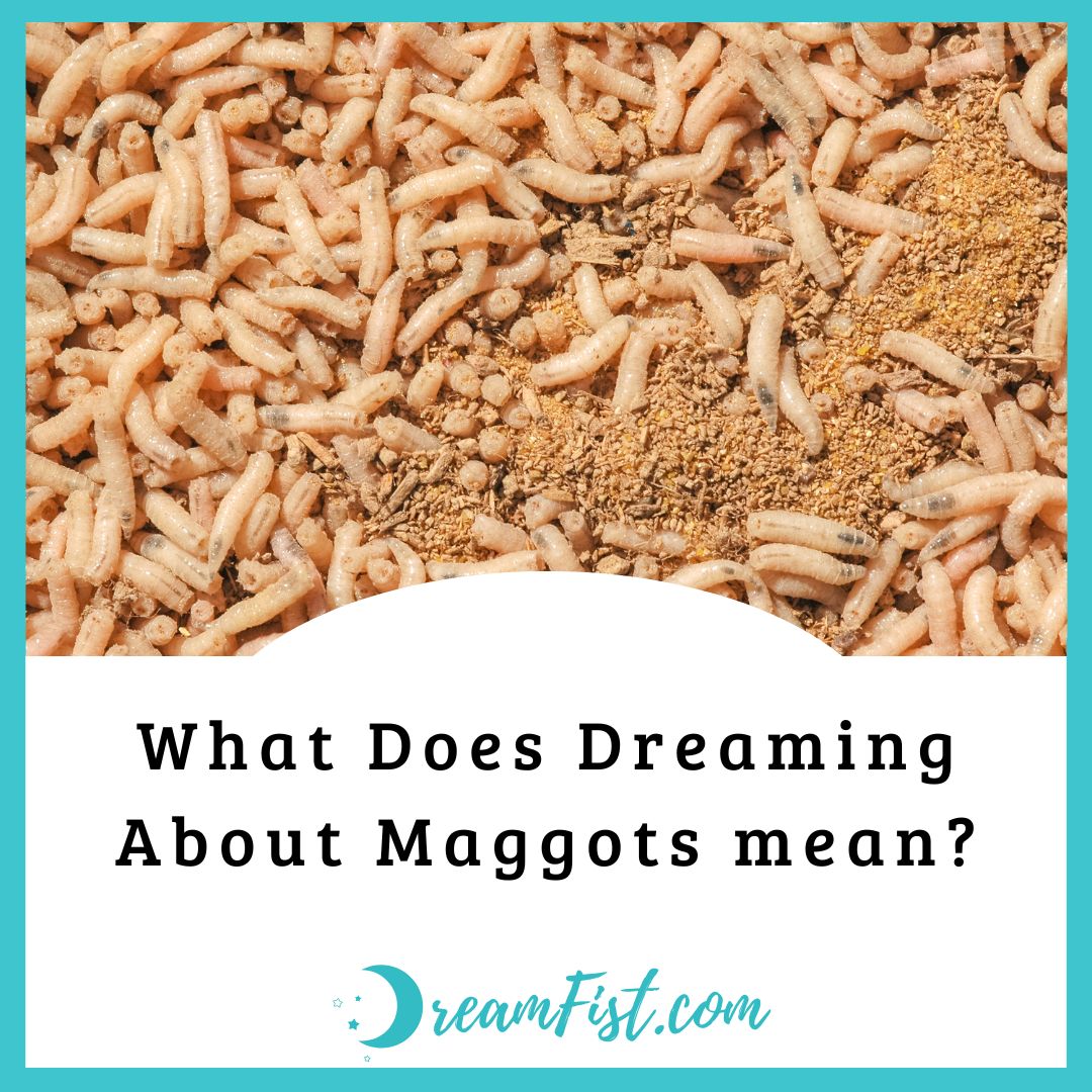 What Does It Mean When You Dream About Maggots? (9 Spiritual Meanings)