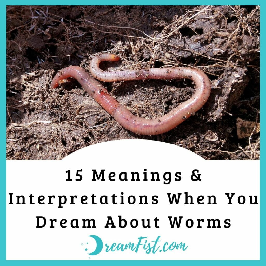 What Does It Mean When You Dream Of Worms?