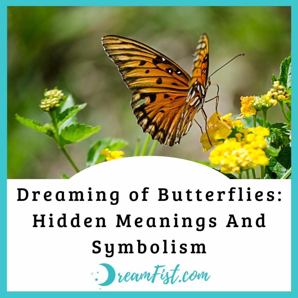 Spiritual Meaning of a Butterfly in Your Dreams