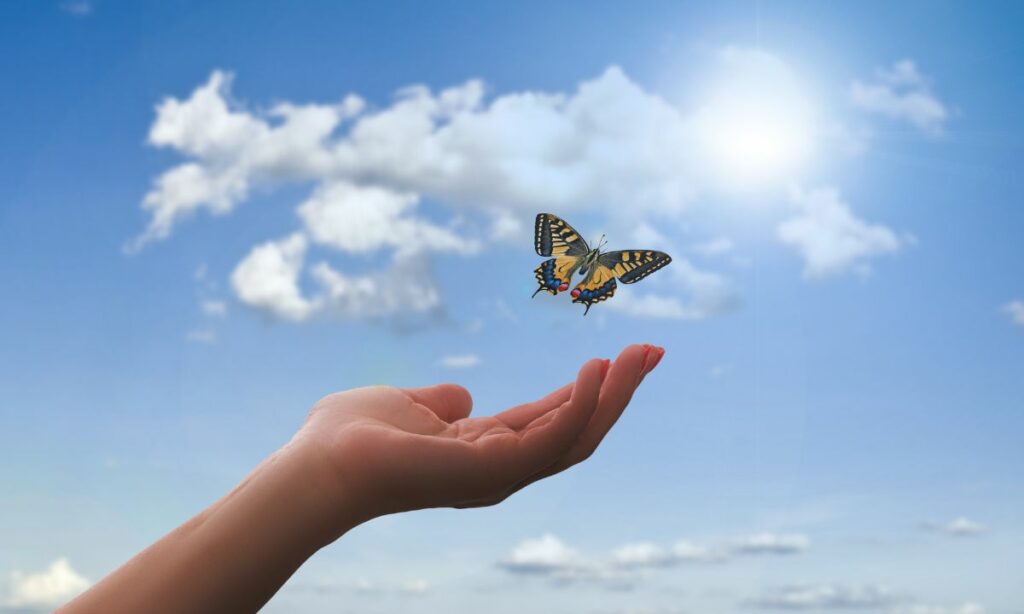 Common Dream Interpretation Butterfly: What Do Butterflies Mean In Dreams