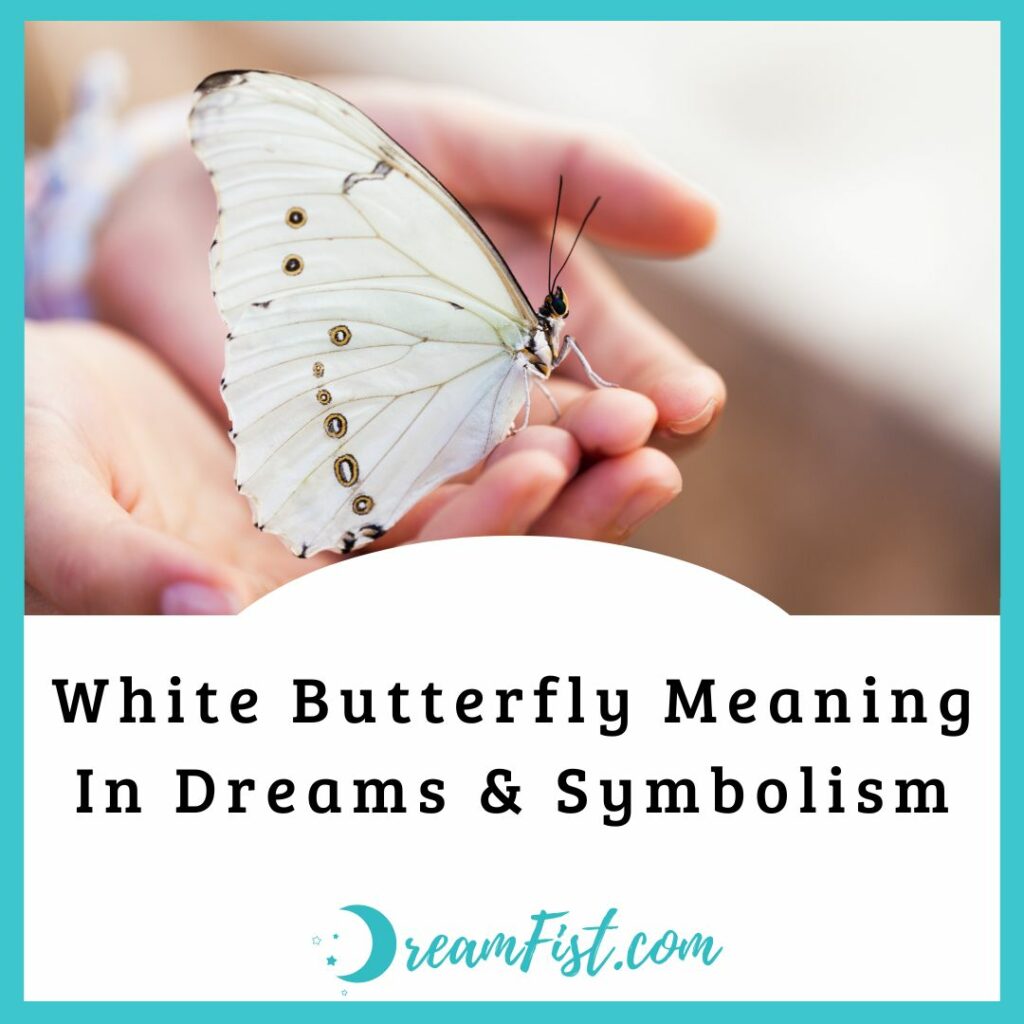 What Does a White Butterfly Mean In a Dream?