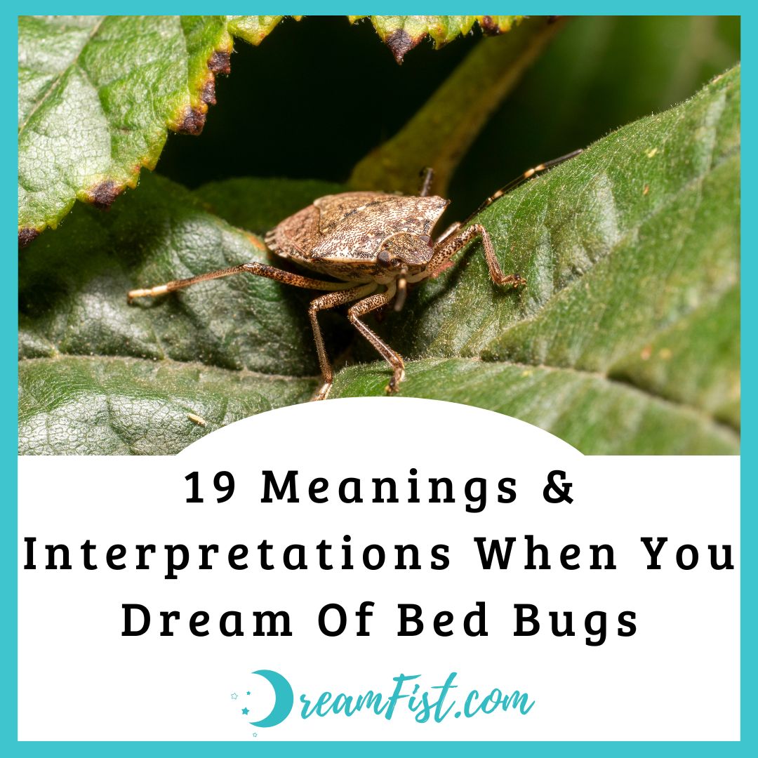 What does bed bugs mean spiritually?