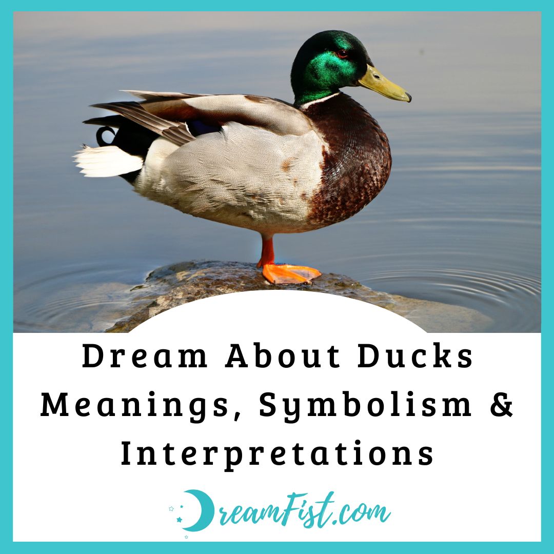 What Does It Mean To Dream About Ducks?