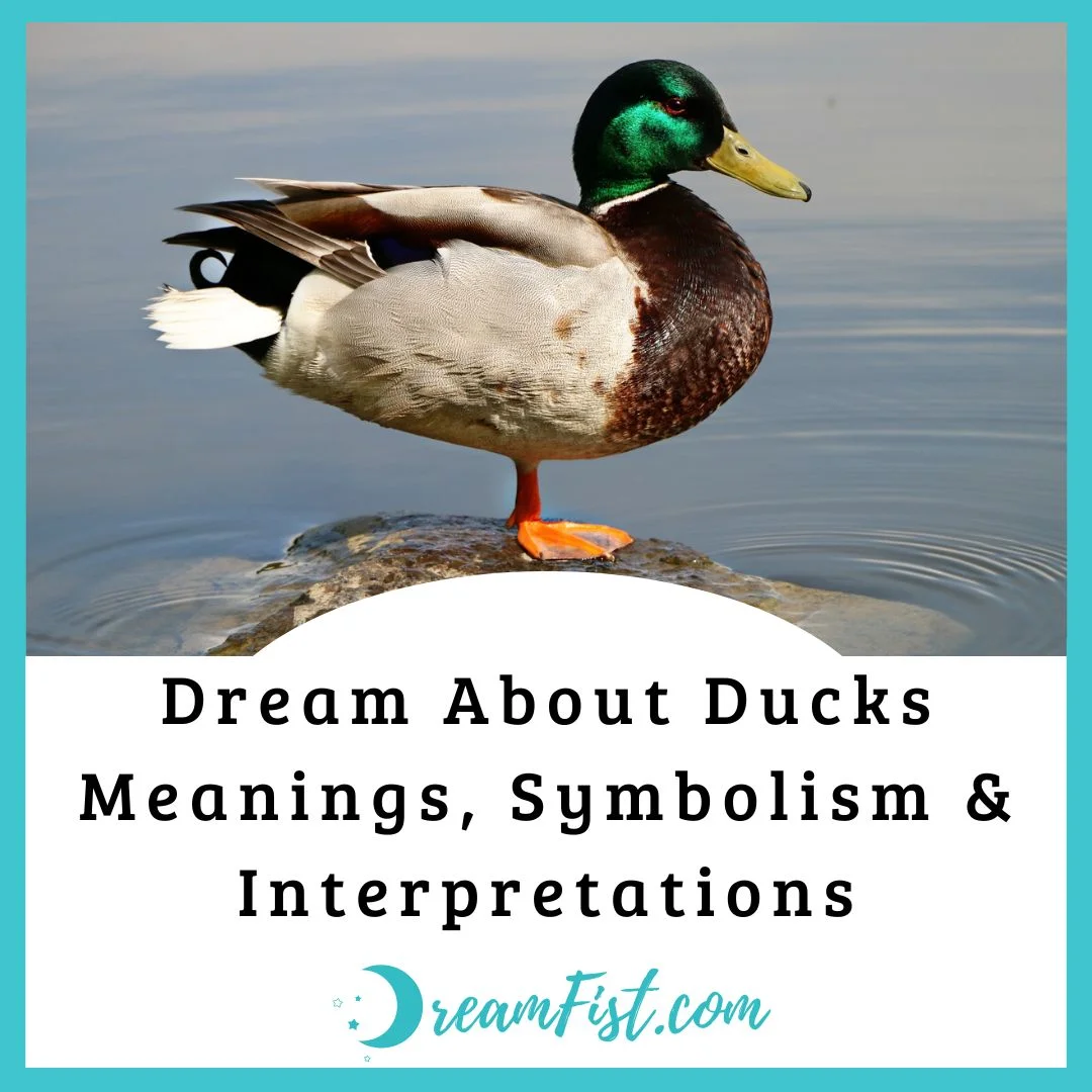 What Does It Mean To Dream About Ducks?