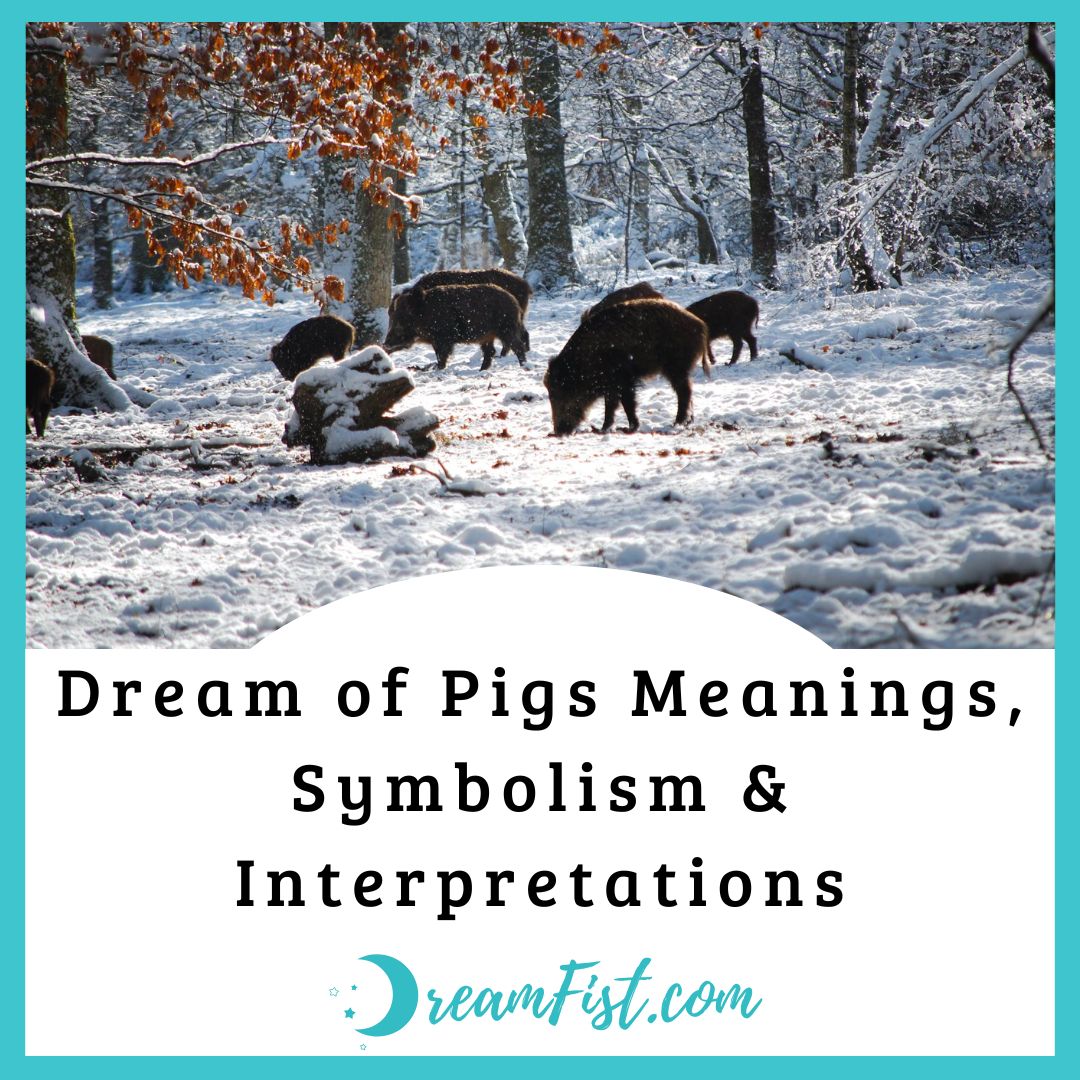 What does it mean to dream about pigs?