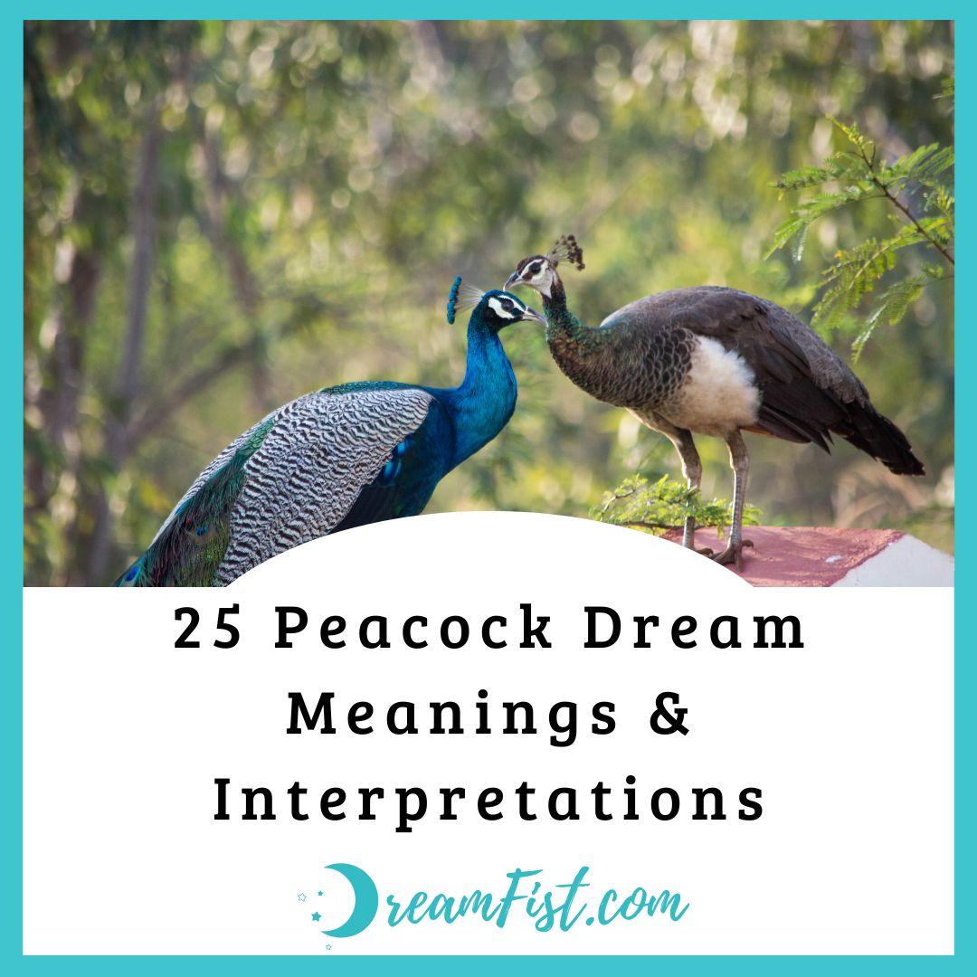 What Does It Mean When You Dreams of Peacocks?