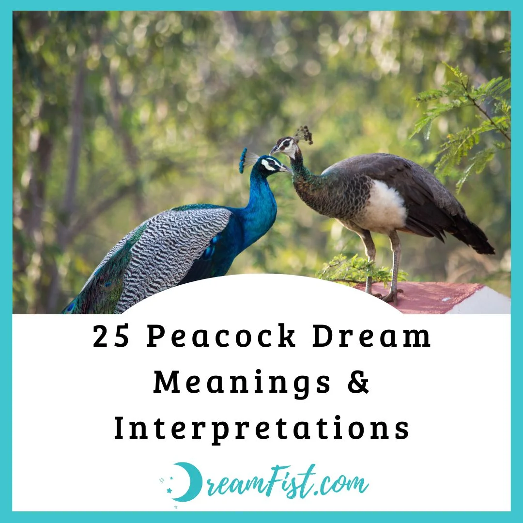 What Does It Mean When You Dreams of Peacocks?