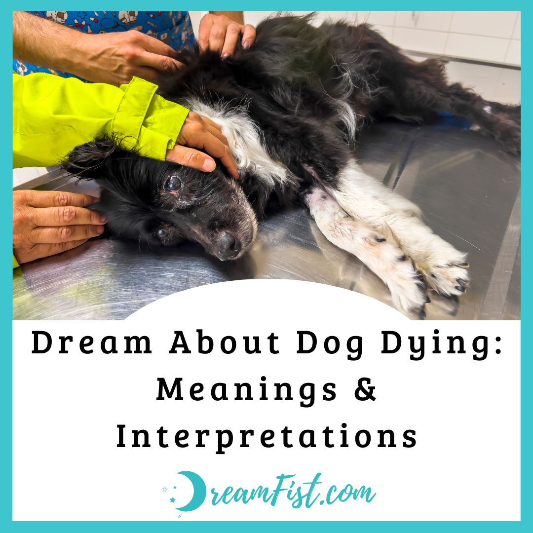 What does it mean when you dream about your dog dying?