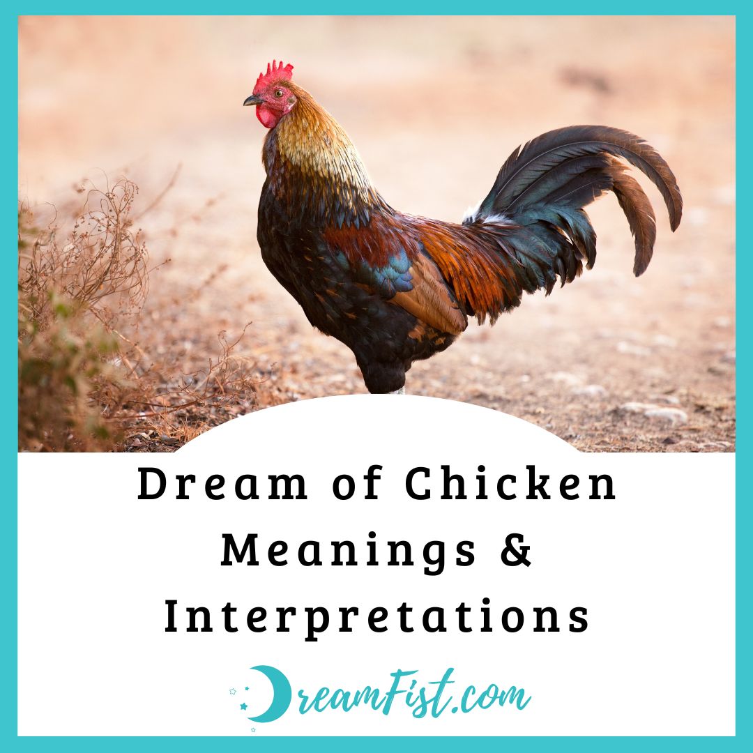 What does it mean to dream of chickens?