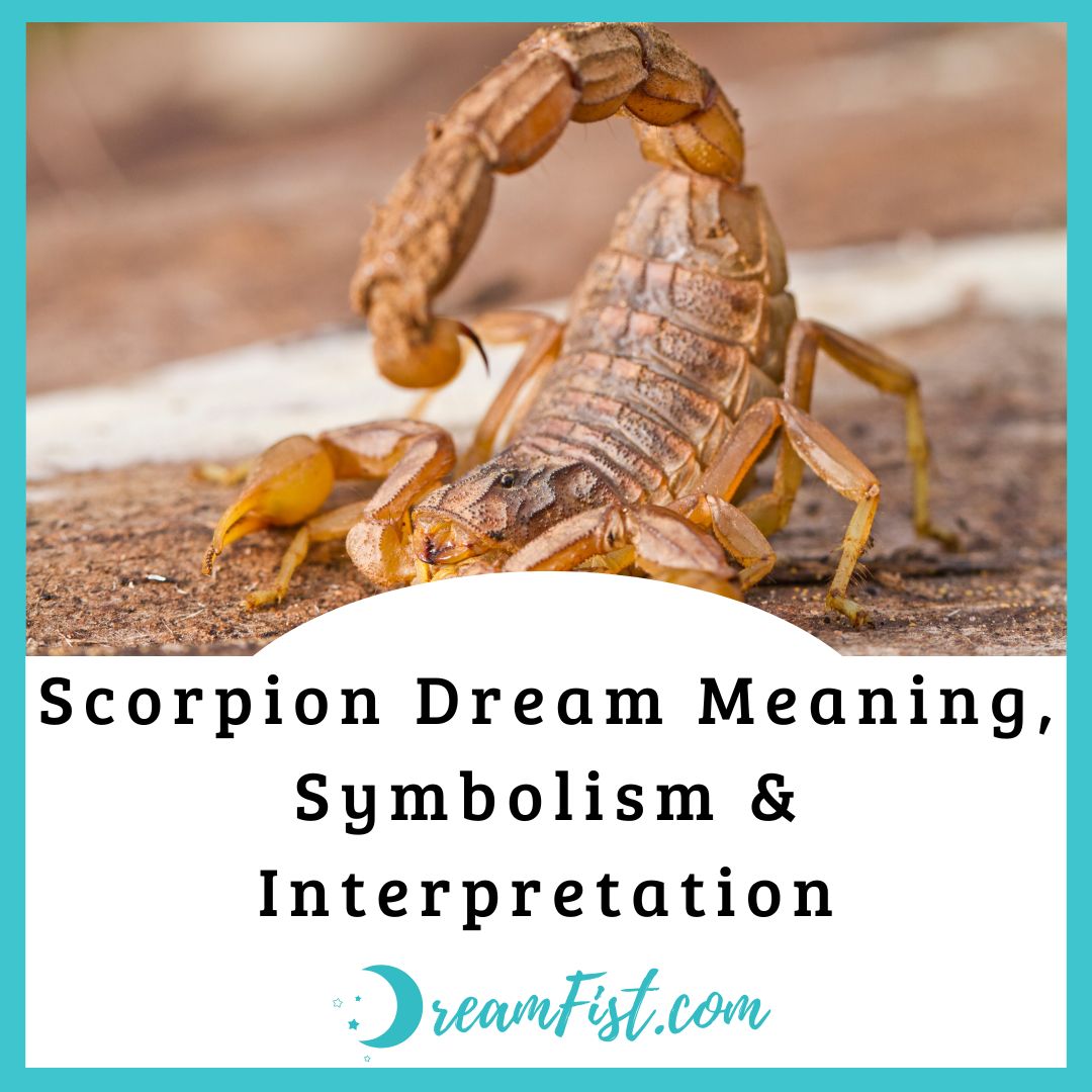 What Does It Mean When You Dream About Scorpions?