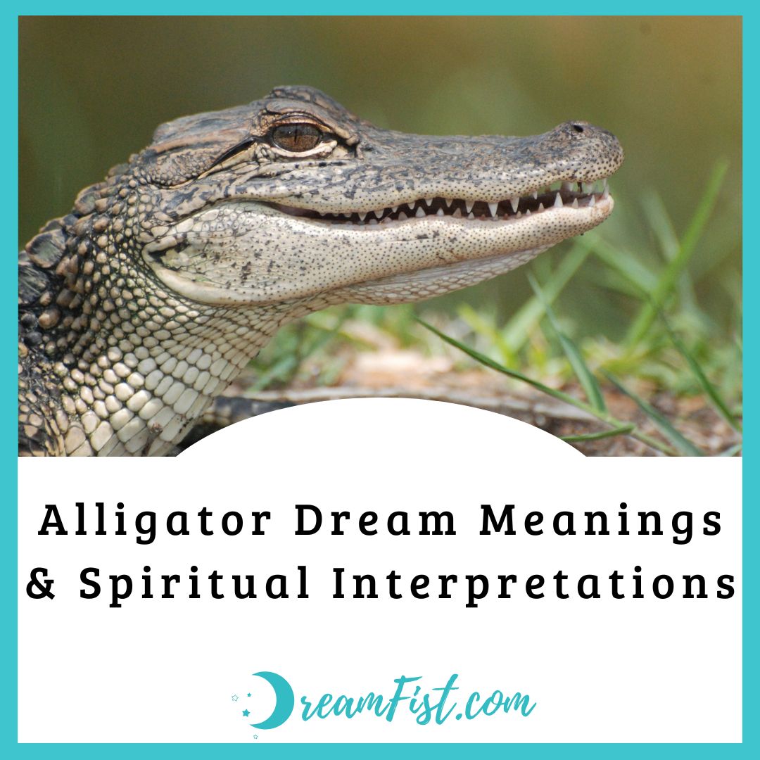 What Does it Mean When You Dream About Alligators?