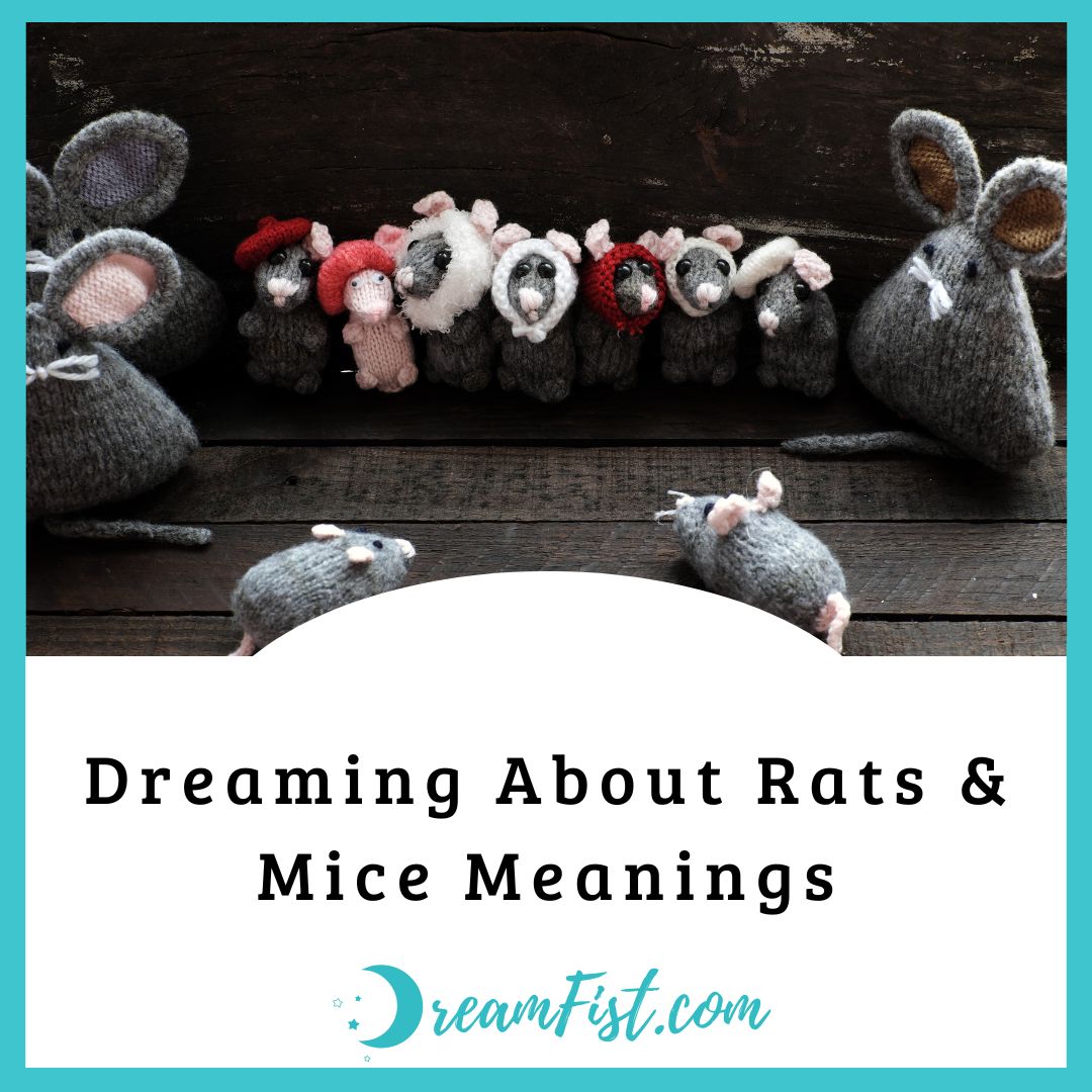 What Does It Mean To Dream About Rats?