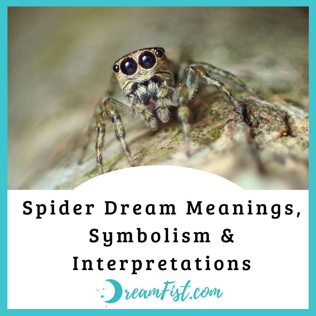 What Does it Mean When You Dream About Spiders?