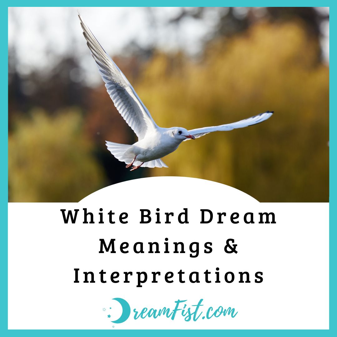What does it mean when you see a white bird?