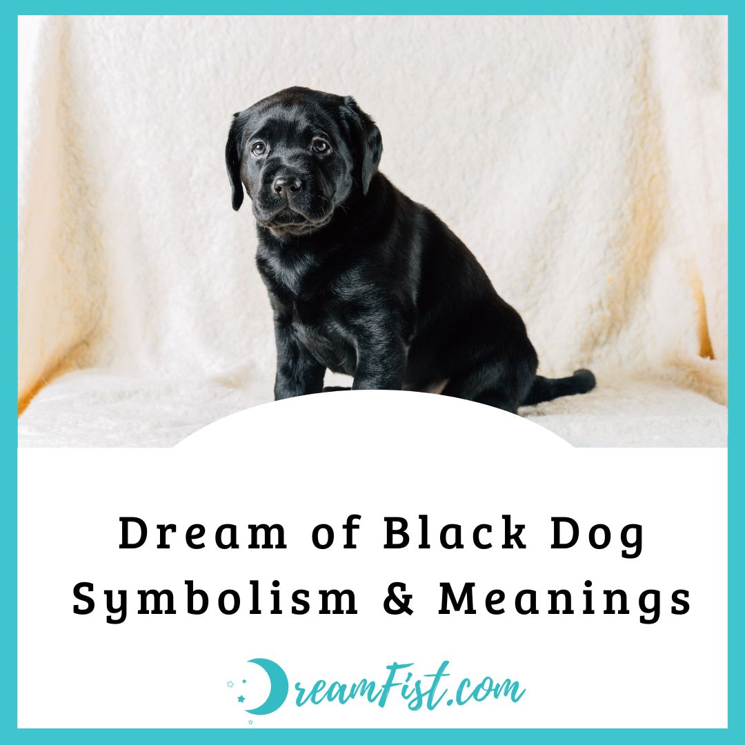 What Does a Black Dog Symbolize In Dreams?