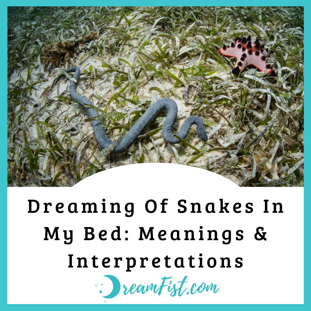 What Does It Mean When You Dreaming About A Snake On My Bed?