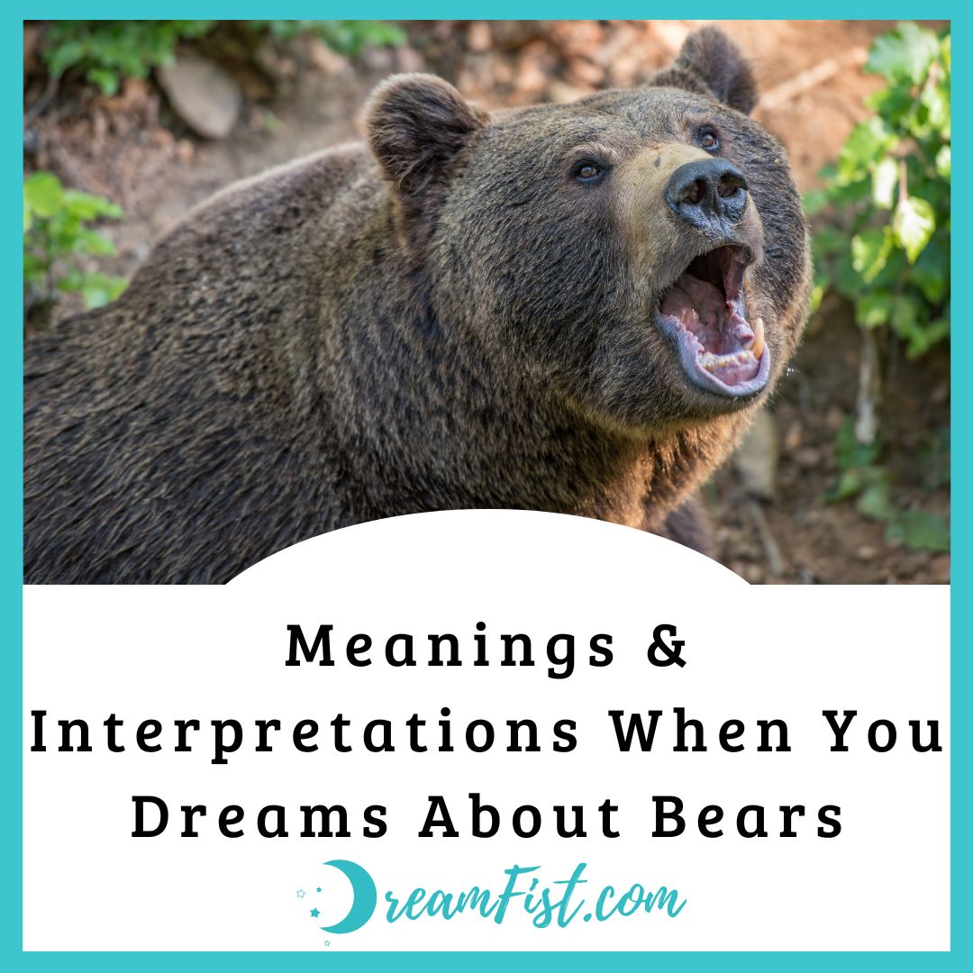 What does it mean when you dream about bears?