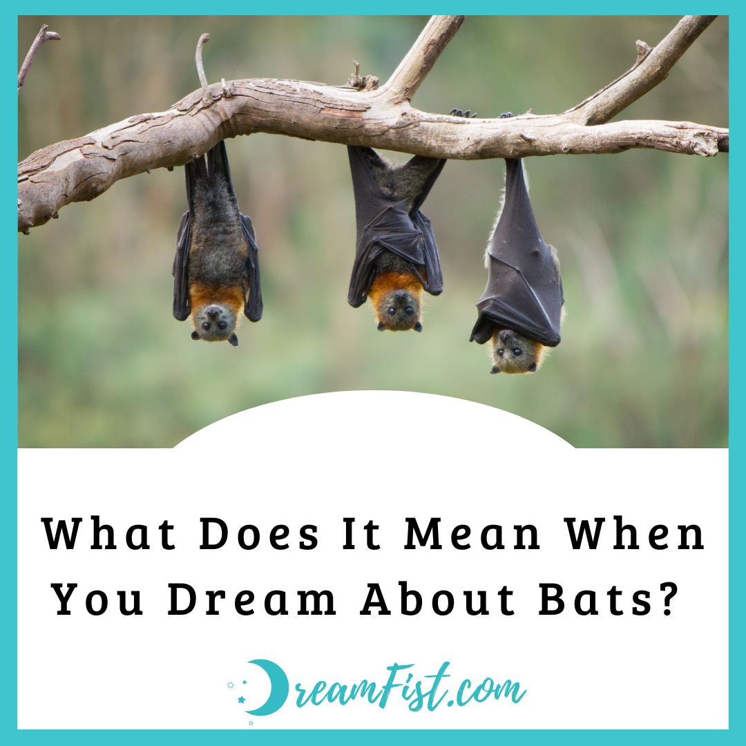 What Does Dreaming of Bats Mean?