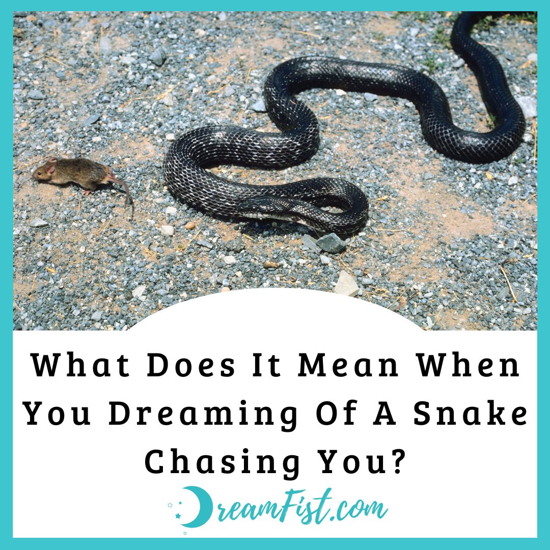 Being Chased by a Snake In a Dream Meanings