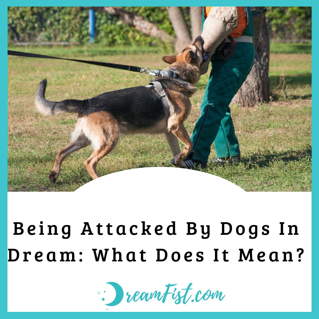 What Does It Mean To Dream Of Dog Attacking You?