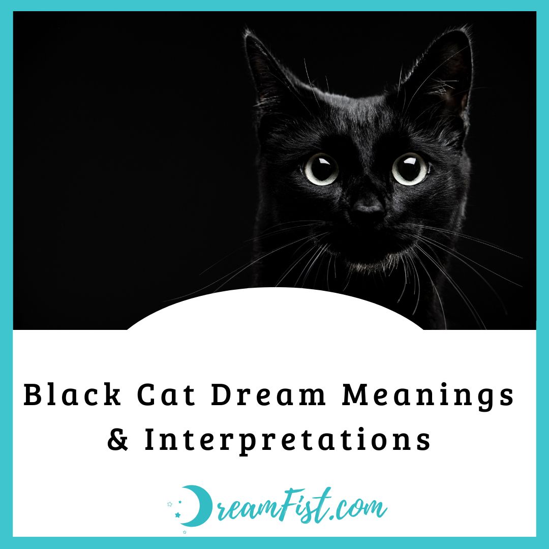 What Does It Mean To Dream About A Black Cat?