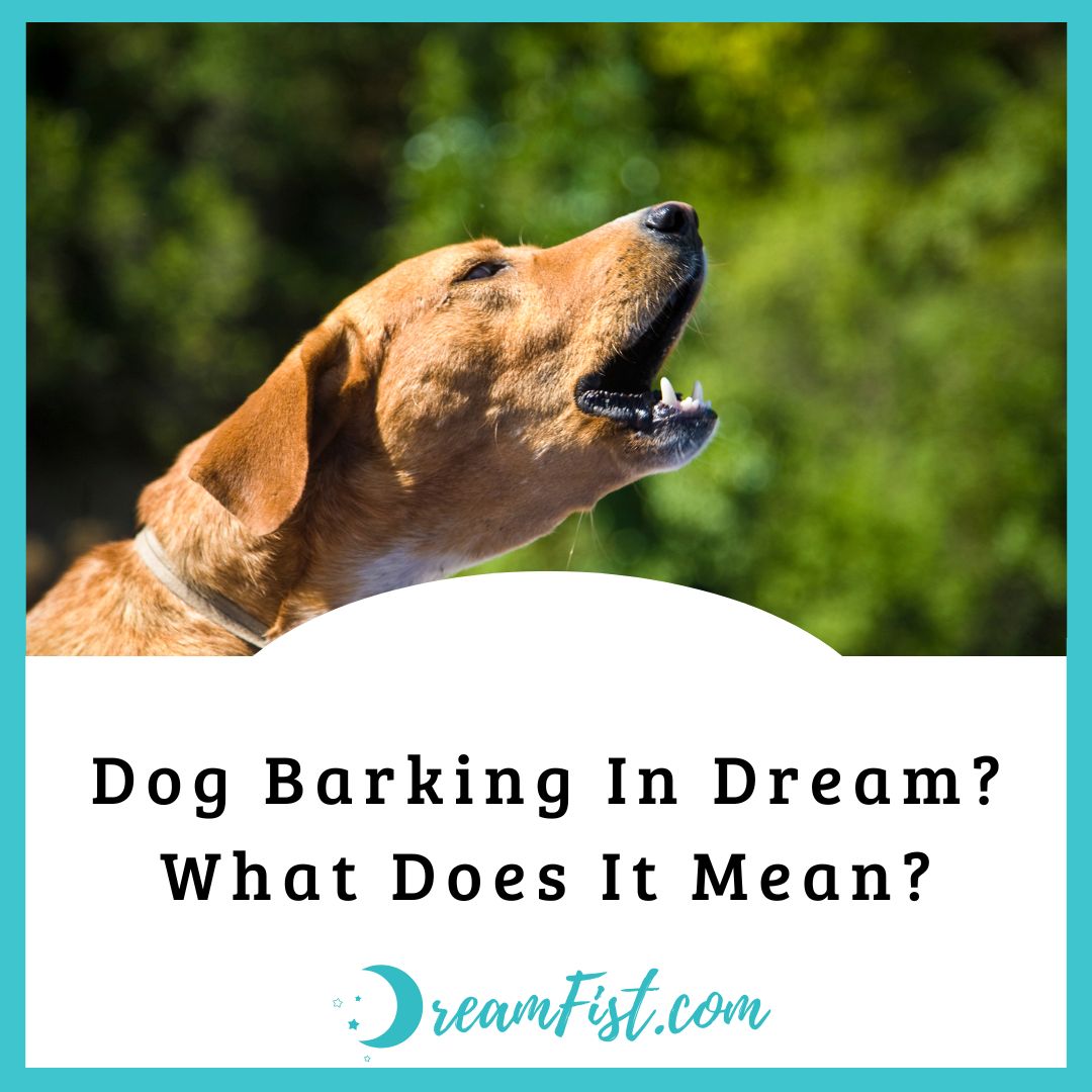 What Does a Barking Dog Symbolize?