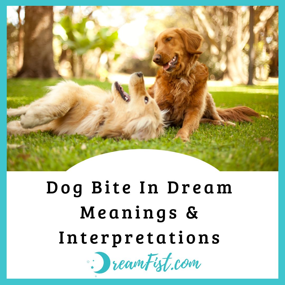 What Does It Mean When You Dream Of Dog Bite?