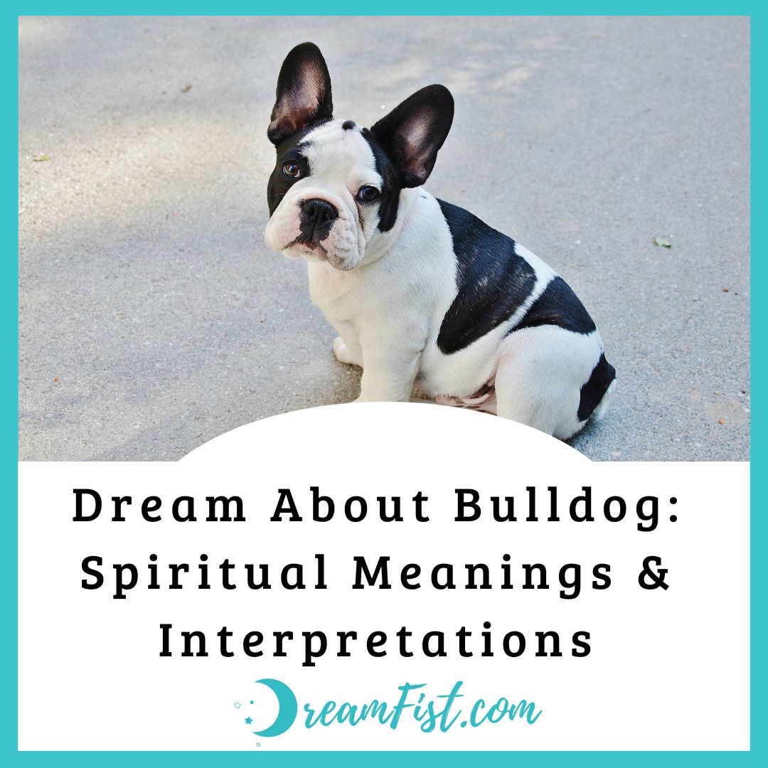 What Does Dream of Bulldog Symbolize?