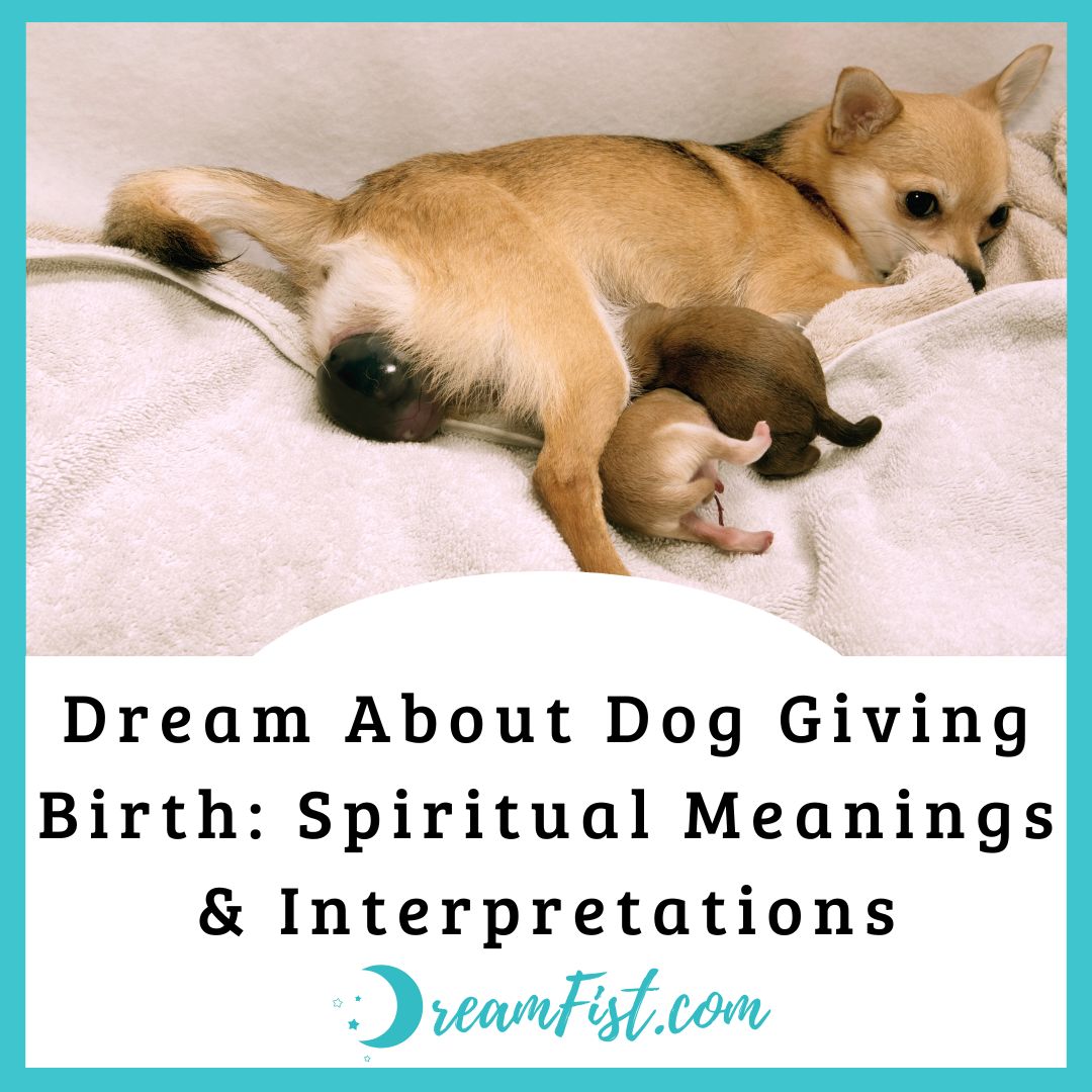 What Does It Mean When You Dream Of Puppies Being Born?