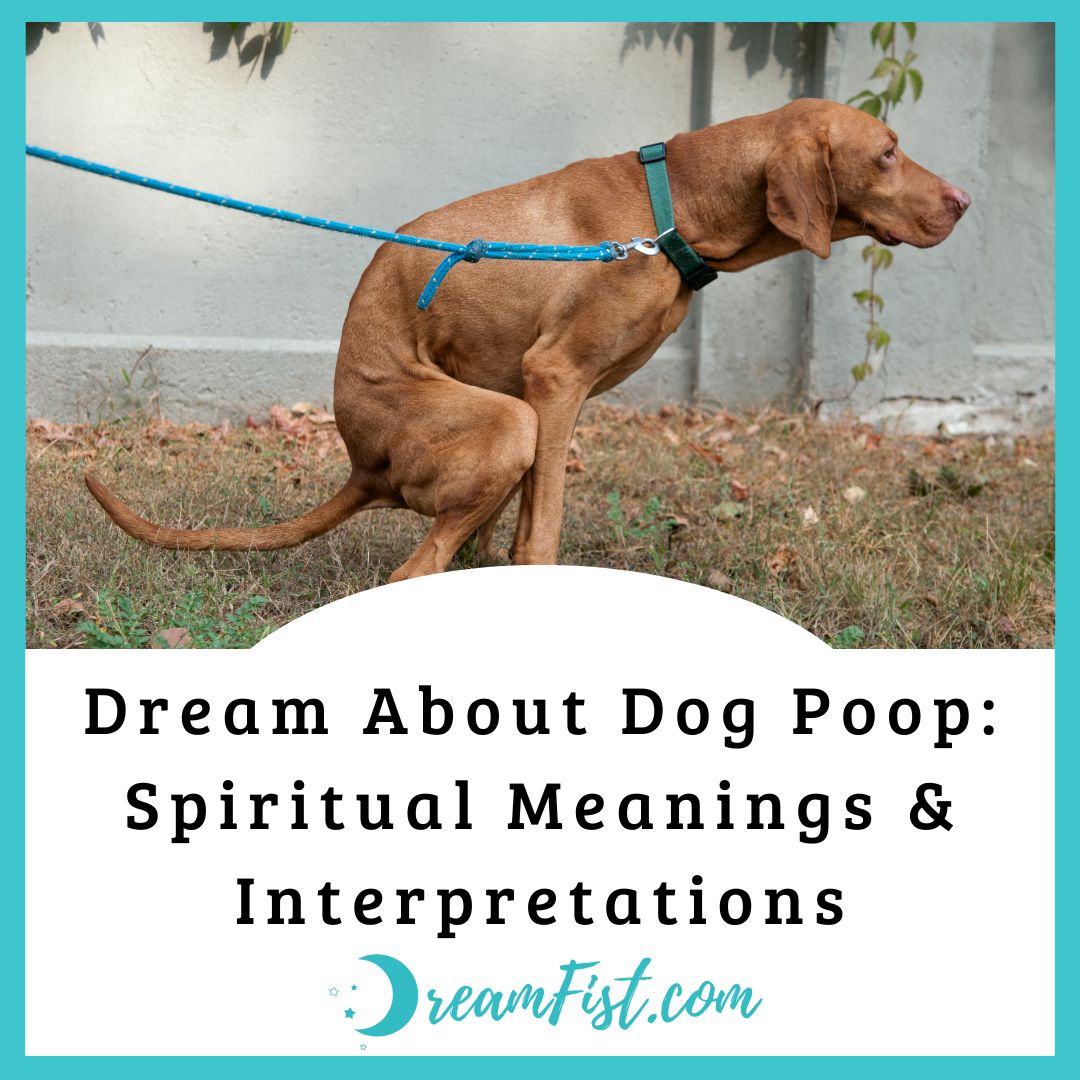 What Does Dog Poop Symbolize In Dream?