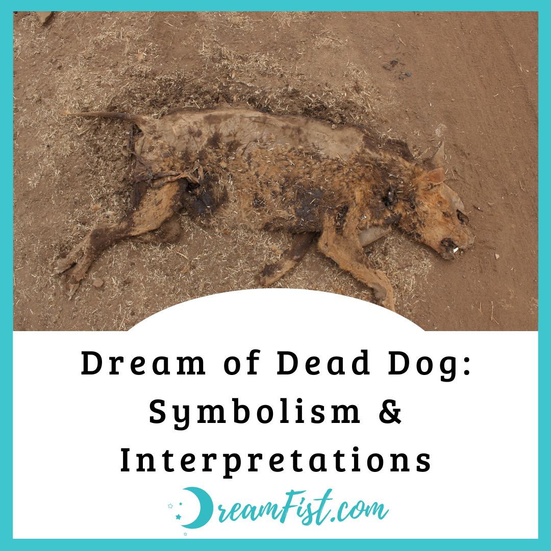 What Does It Mean To Dream of Dead Dog?