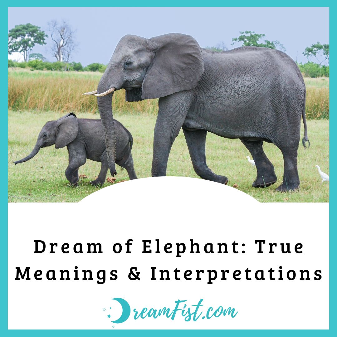What Do Elephants Symbolize In Dreams?