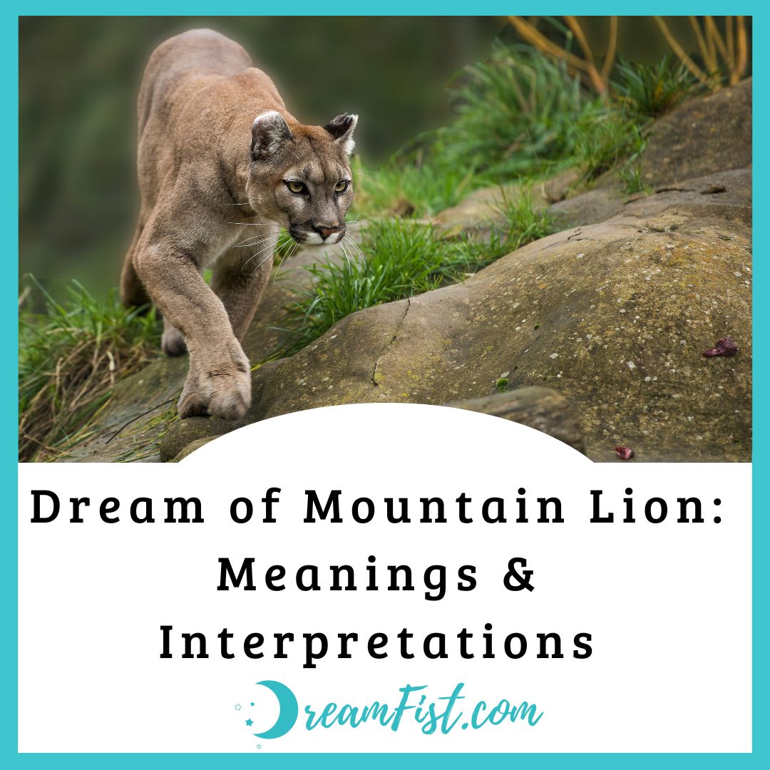 What Does It Mean When You Dream of Mountain Lion?