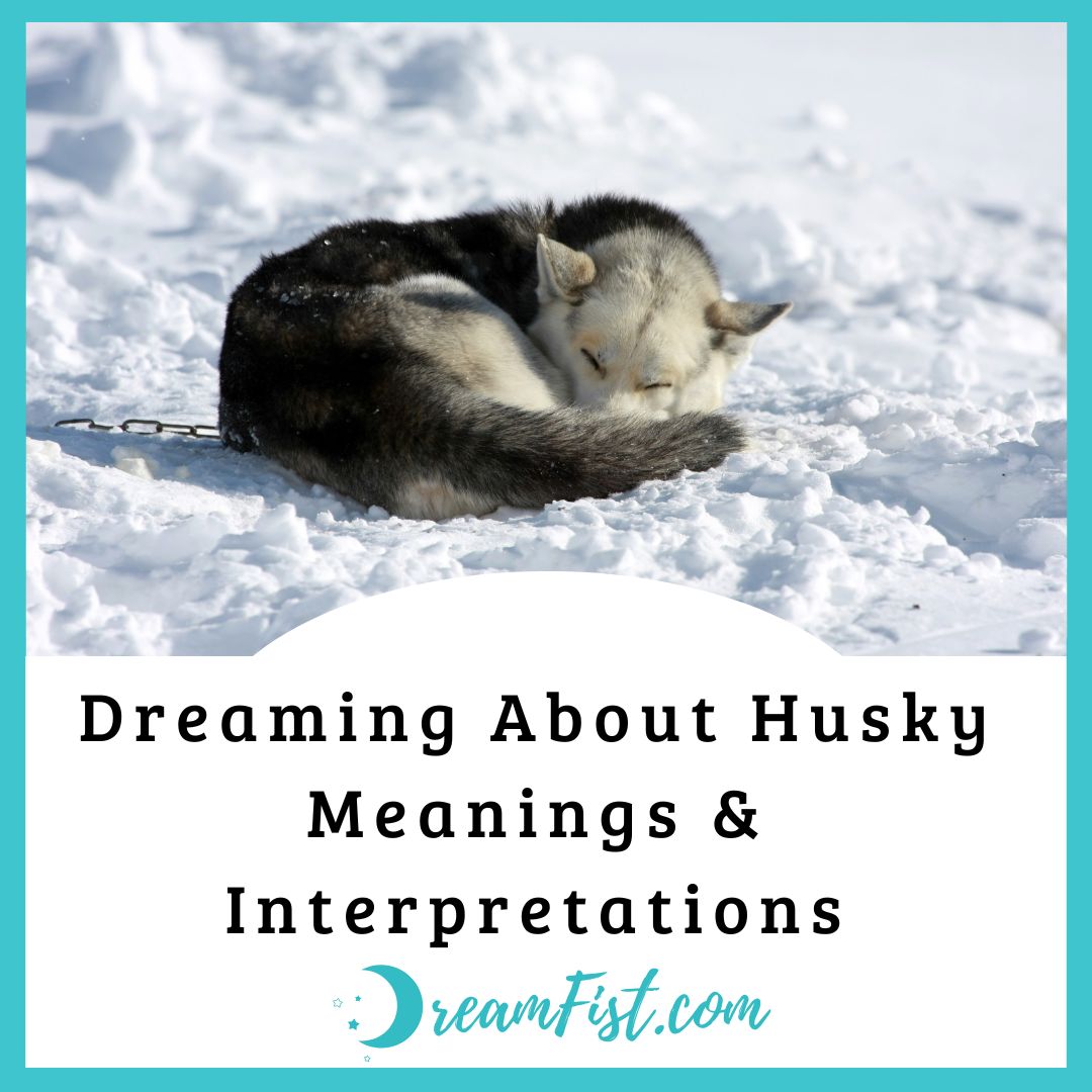 What Does the Dream of Husky Symbolize?