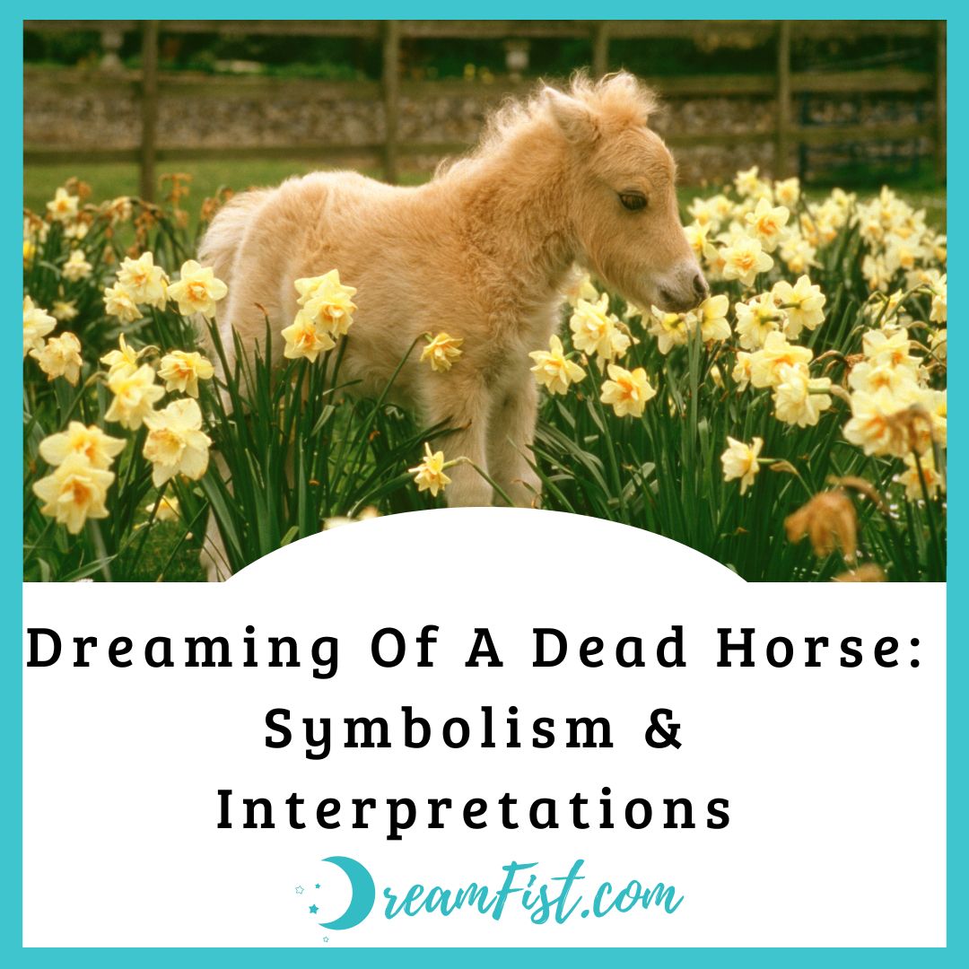 What Does Dream About Dead Horse Symbolize?