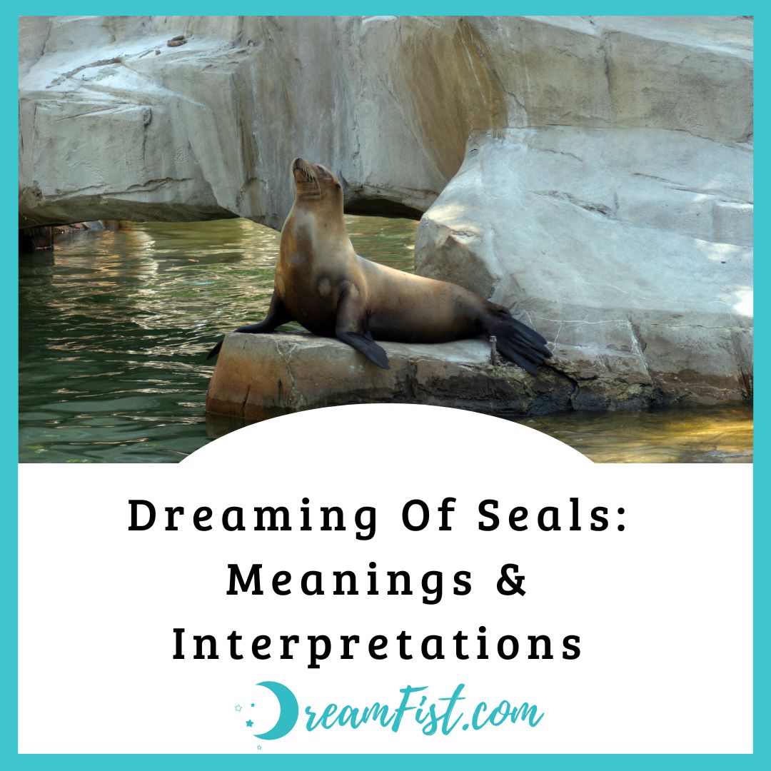 What Do Seals Symbolize In Dreams?