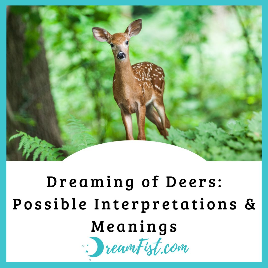 What Does It Mean When You Dream About Deer?