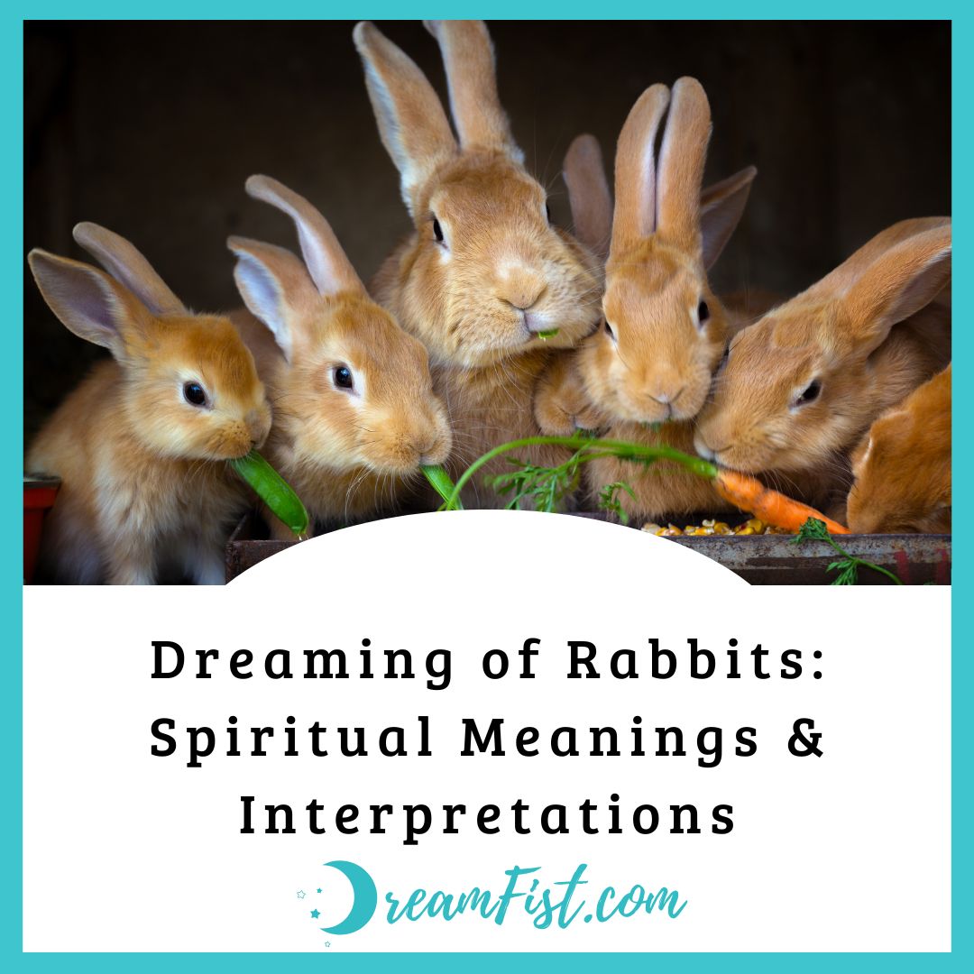 What Does It Mean When You Dream About Rabbits?