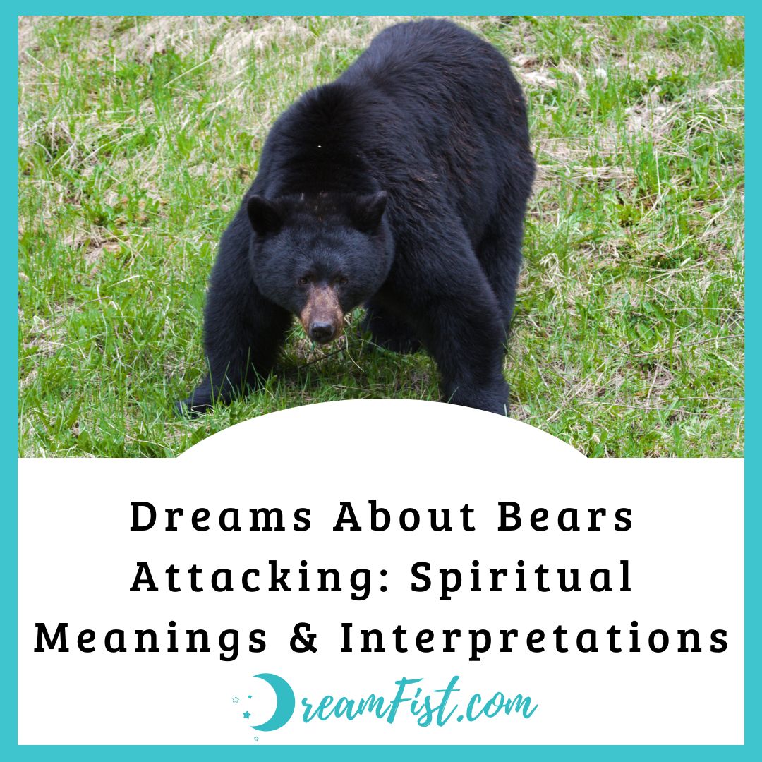 What Does It Mean When You Dream About Bears Attacking You?