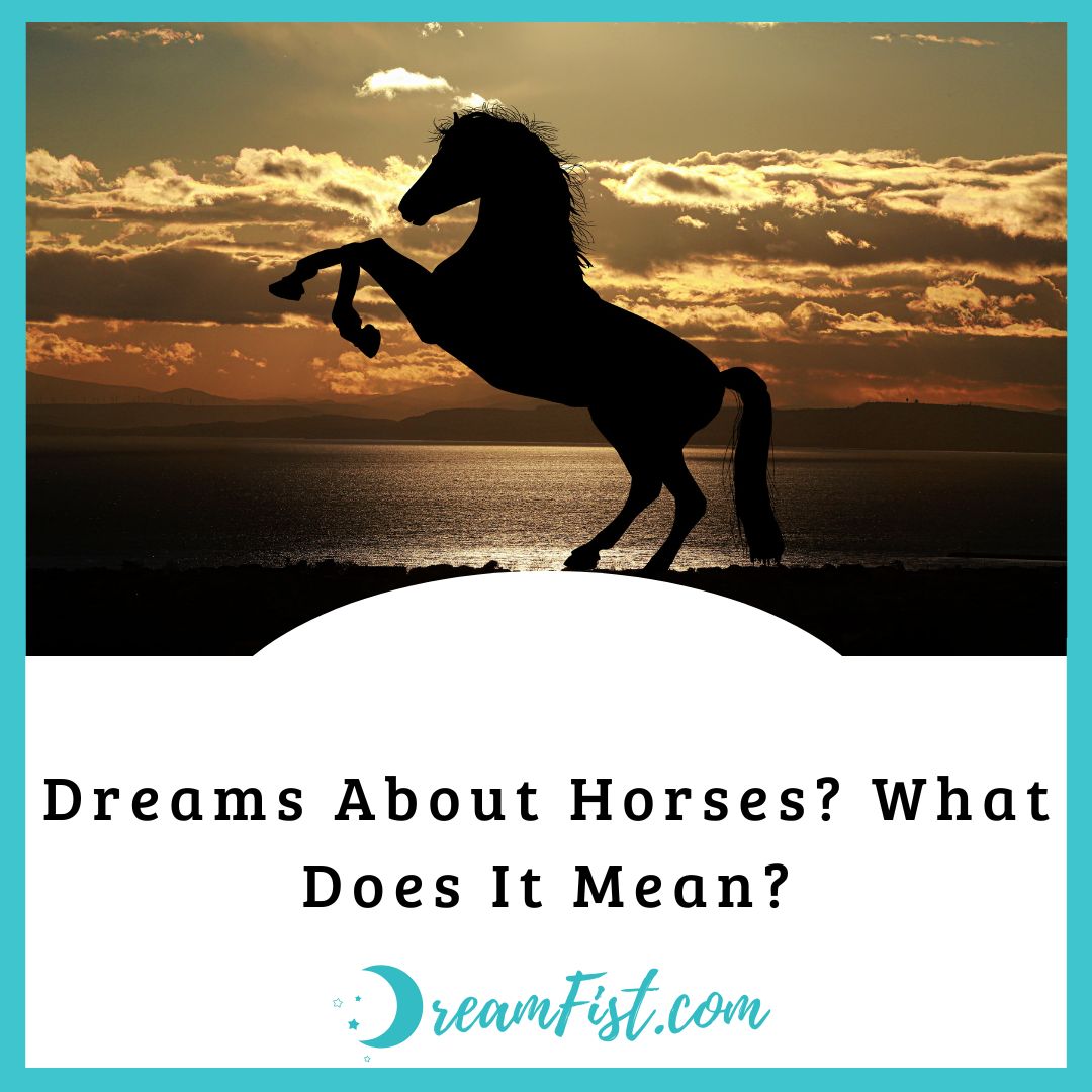 What does it mean when you dream about horses?