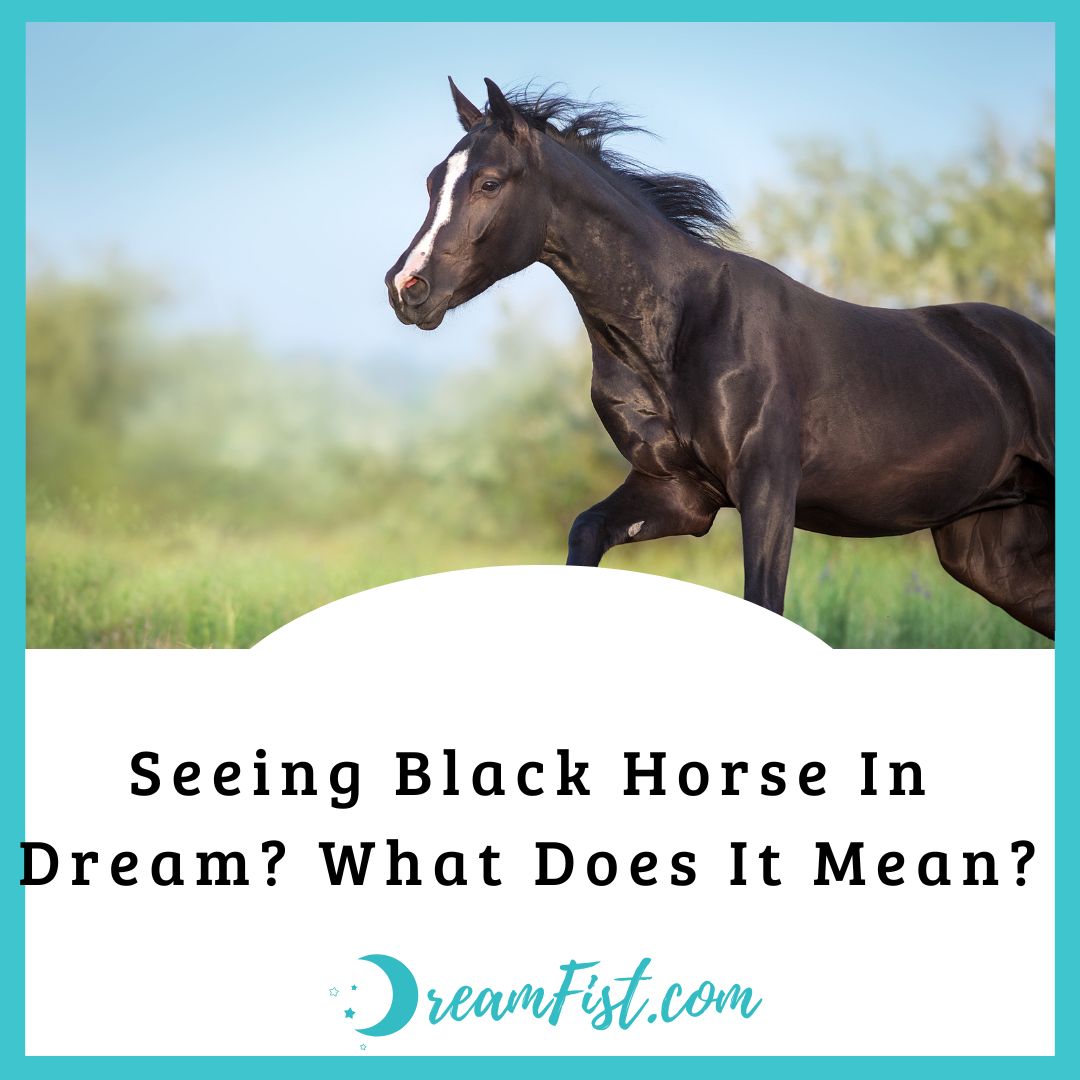 What Does A Black Horse Symbolize In Dreams?