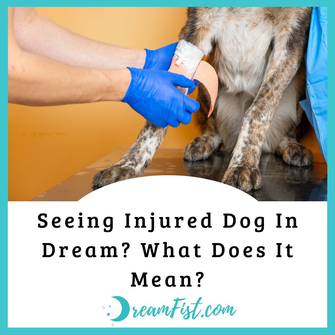 What Does It Mean When You Dream About Injured Dog?