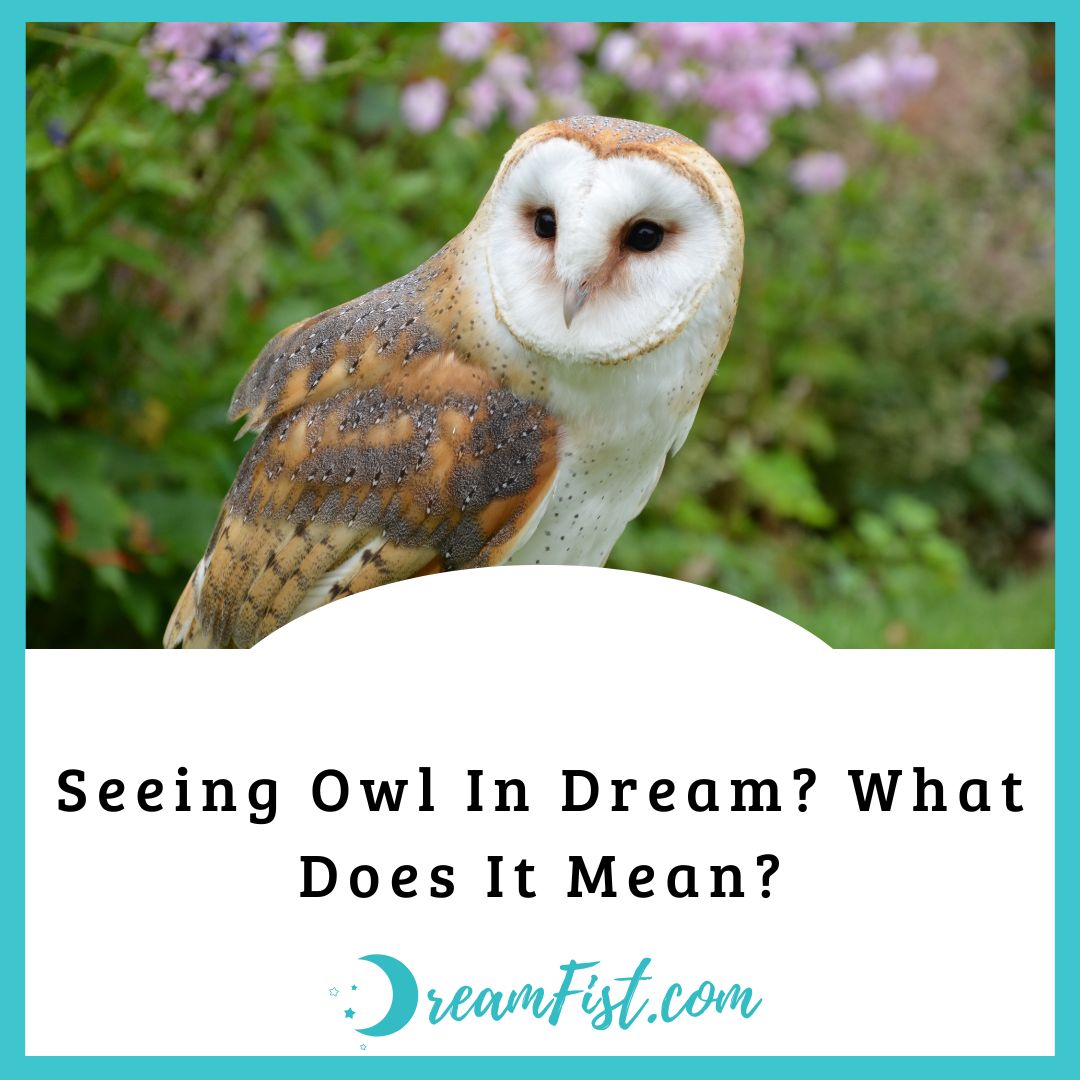 What Does It Mean When You Dream About Owls?