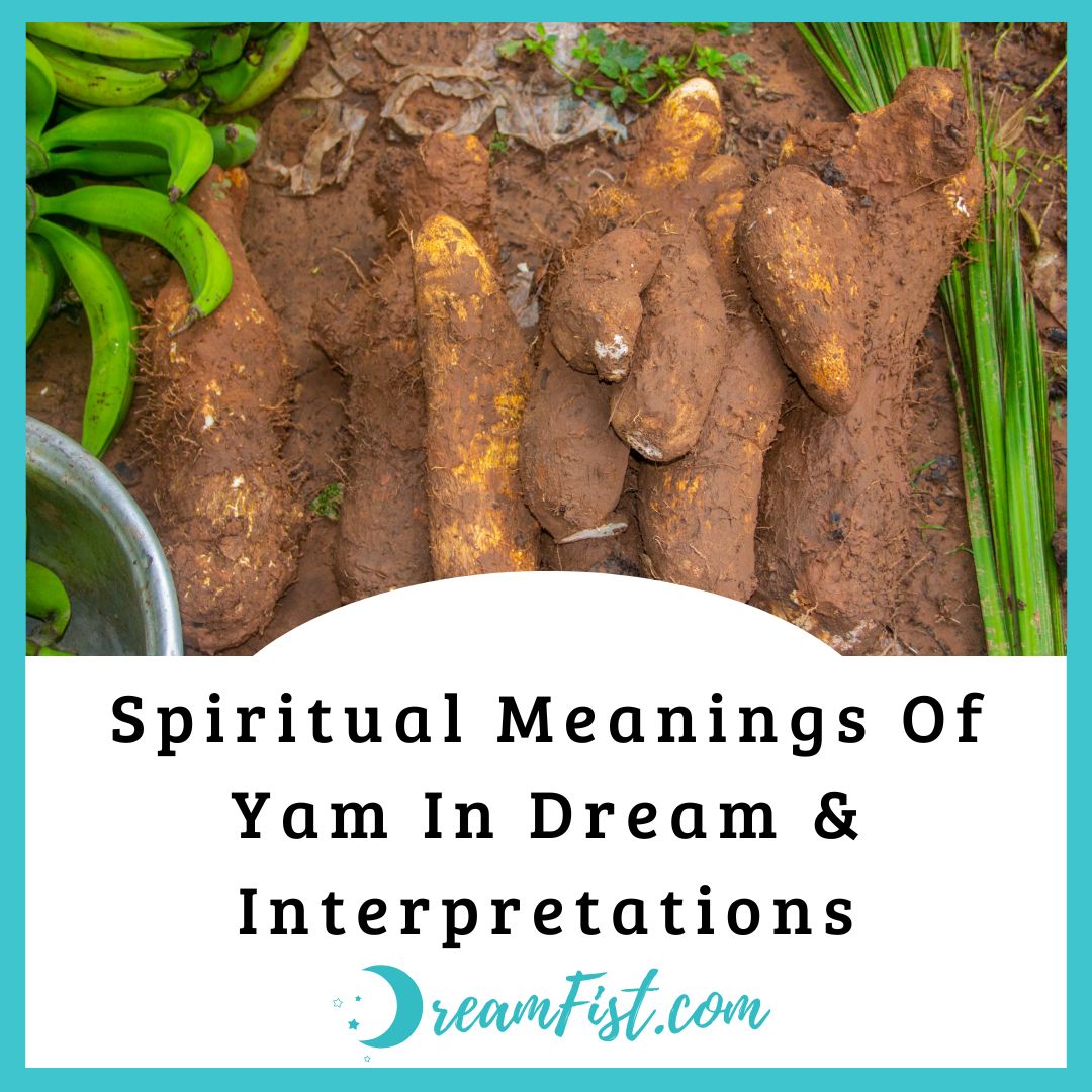 What is the meaning of seeing yam in your dream?