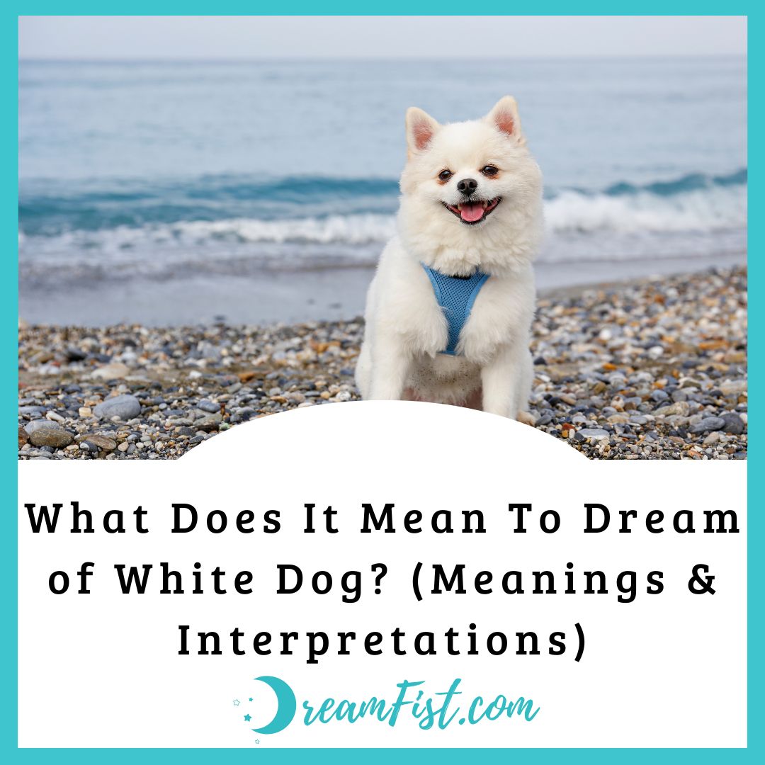 What Does A White Dog Mean In A Dream?