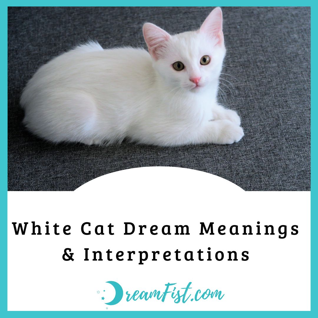 What Does A White Cat Symbolize In Dreams?