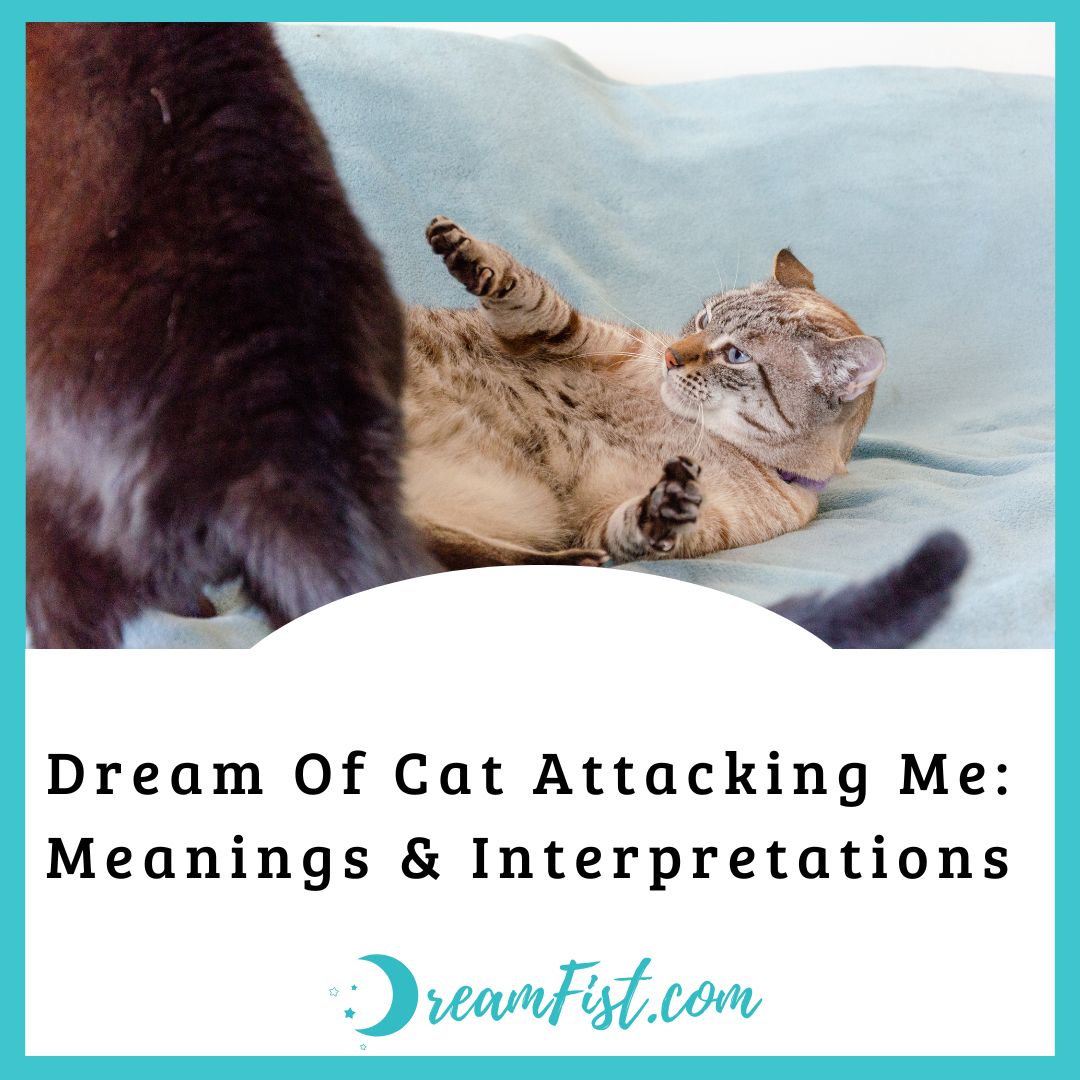 What Does Dream Of Cat Attacking Me Symbolize?