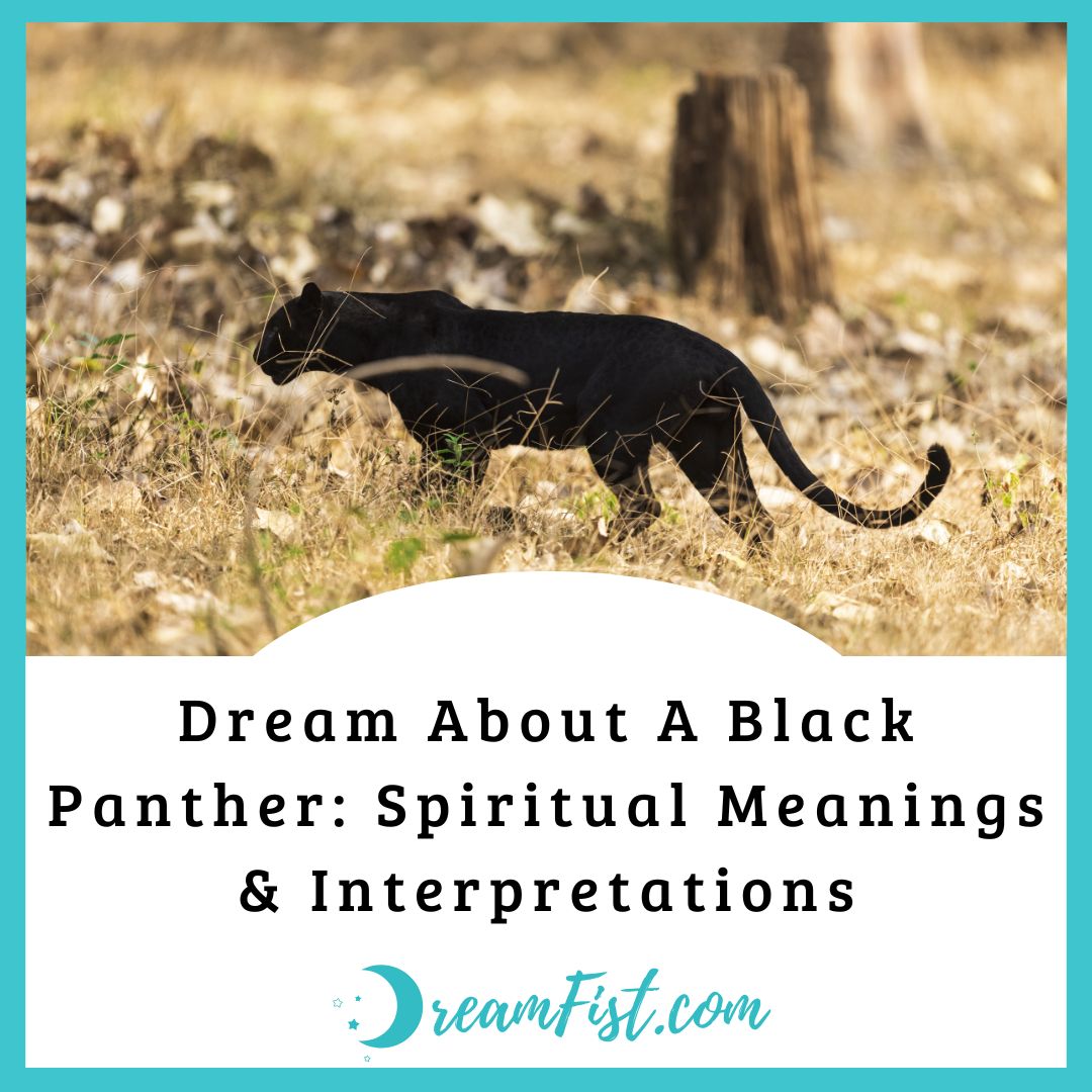 What Does a Black Panther Symbolize in Dreams?
