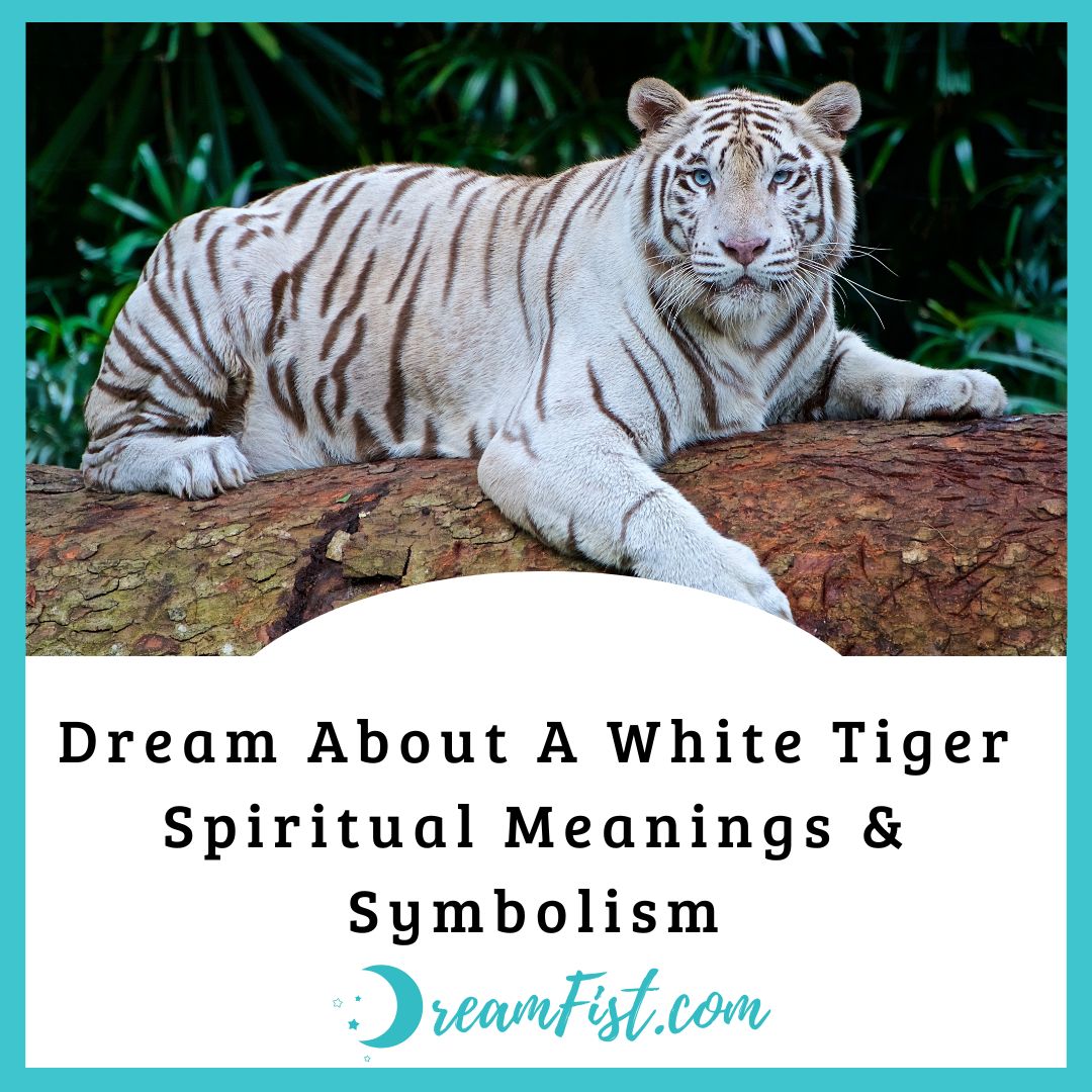 What Does It Mean To Dream About A White Tiger?