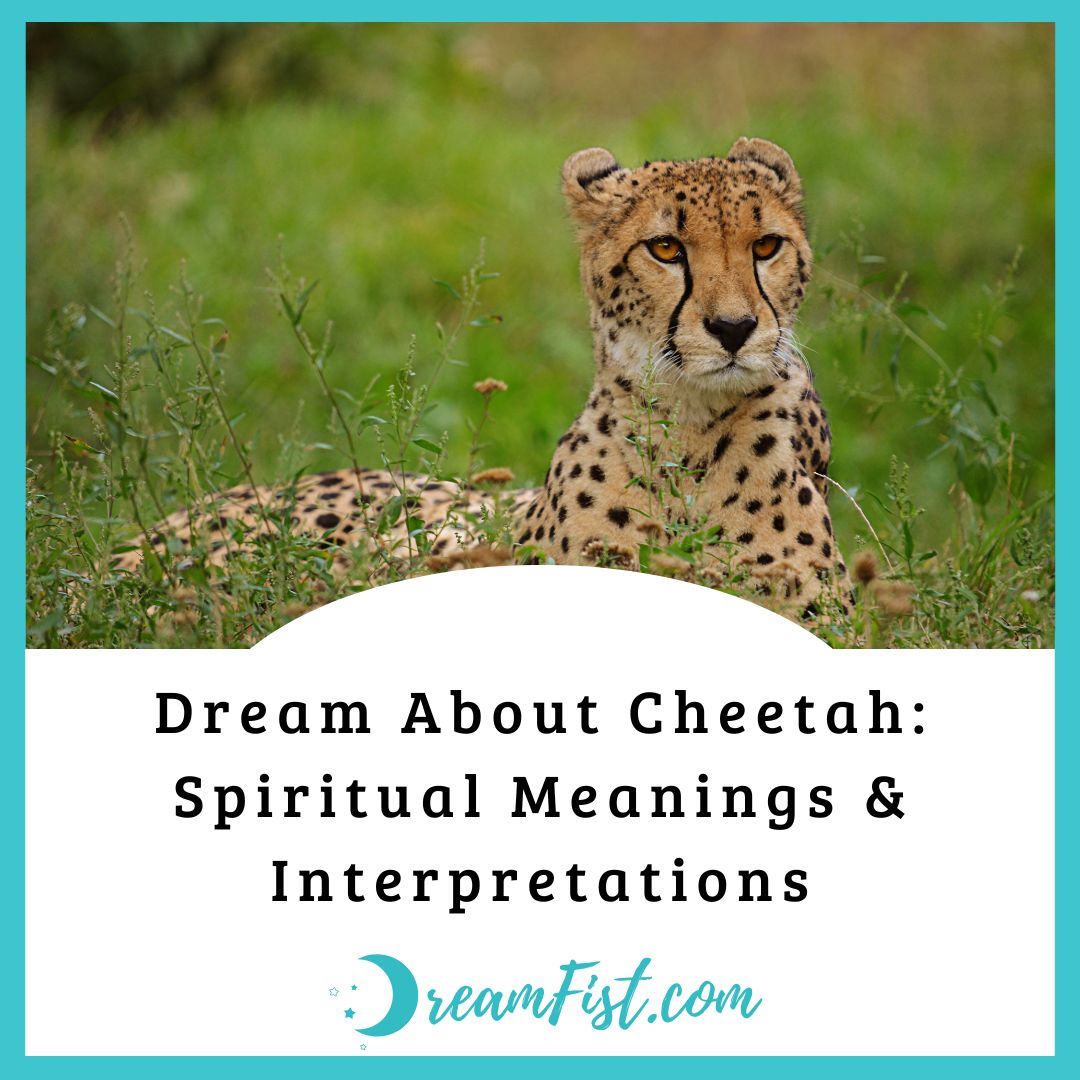 What Does It Mean To Dream About Cheetah?